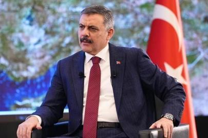 Bakan Çiftçi: Sahipsiz sokak hayvanlarının yüzde 83'ü toplandı