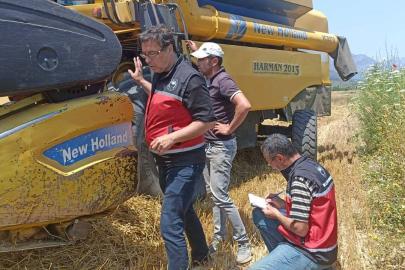 Biçerdöverler kontrol ediliyor