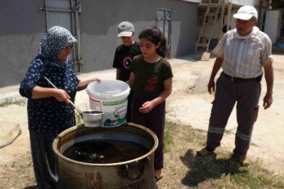 Dut bolluğu pekmez üretimini artırdı