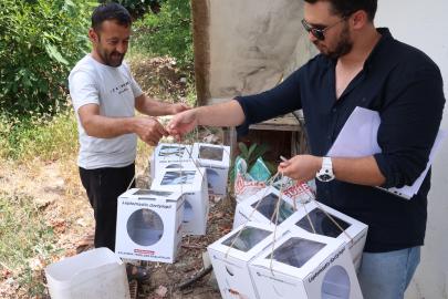 Büyükşehir’den 800 dekar araziye faydalı böcek desteği