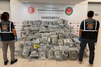 Gümrük'te uyuşturucu kaçakçılığına darbe! Hamzabeyli’de 288 kilo esrar ele geçirildi