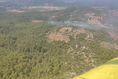Muğla'da orman yangını (2)